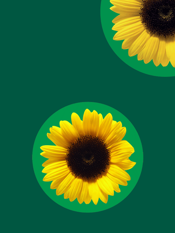 Non-visible disabilities (30 mins - ENG)