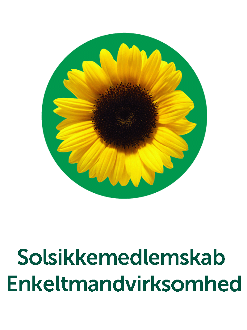 Enkeltmandsvirksomheder – til små virksomheder 