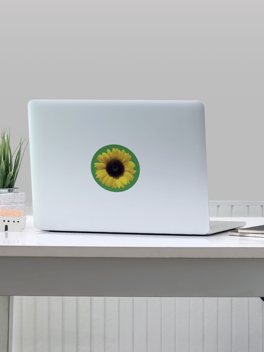 Pack of 50 Circular Wearer Stickers