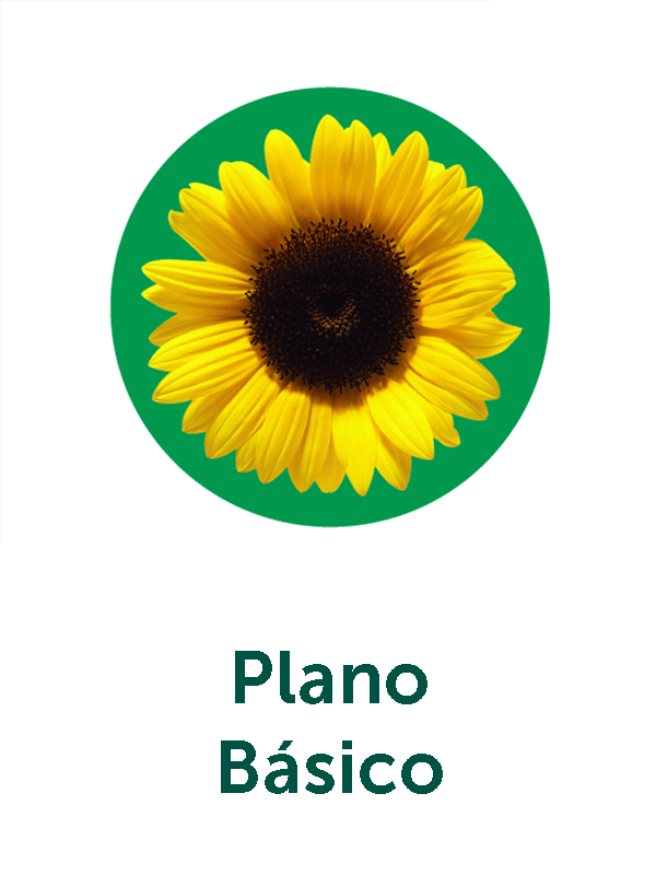 Plano Básico