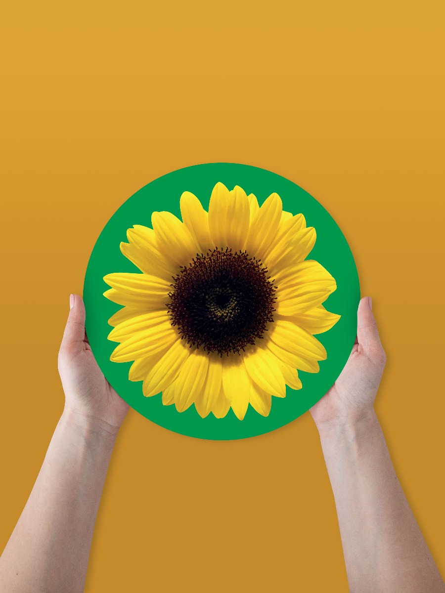 Lot de 10 pastilles Tournesol