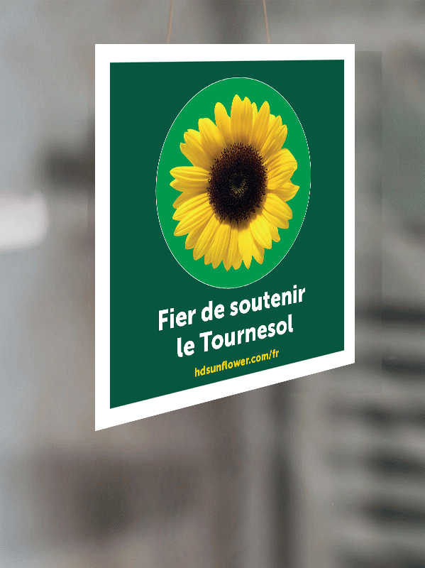 Lot d'autocollants Sunflower pour usage intérieur