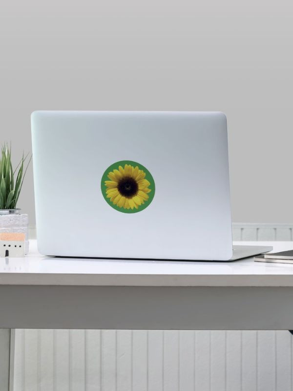 Pack of 50 Circular Wearer Stickers