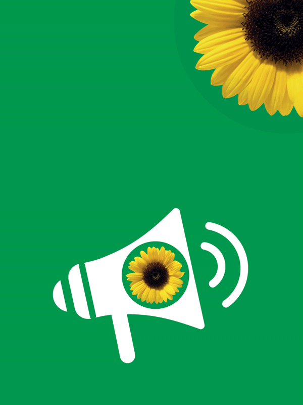 Sunflower training (30 mins - ENG)