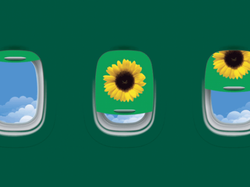 Aena's Invisible Disability Badge and the Sunflower