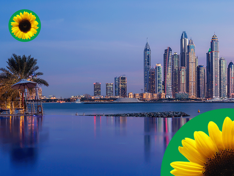 Dubai Marina en gele zonnebloem in groene cirkels