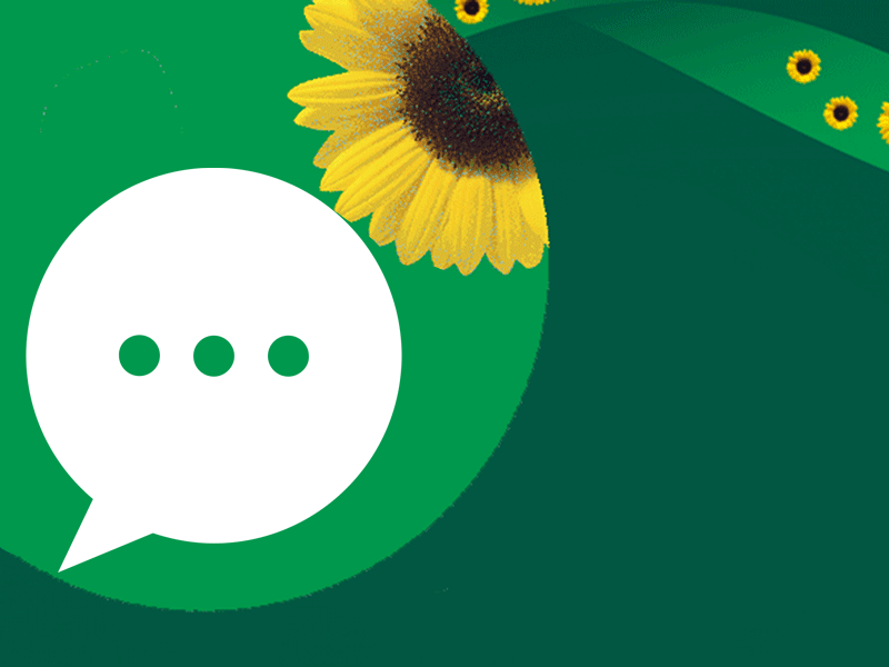 speech bubble with sunflower on a green background