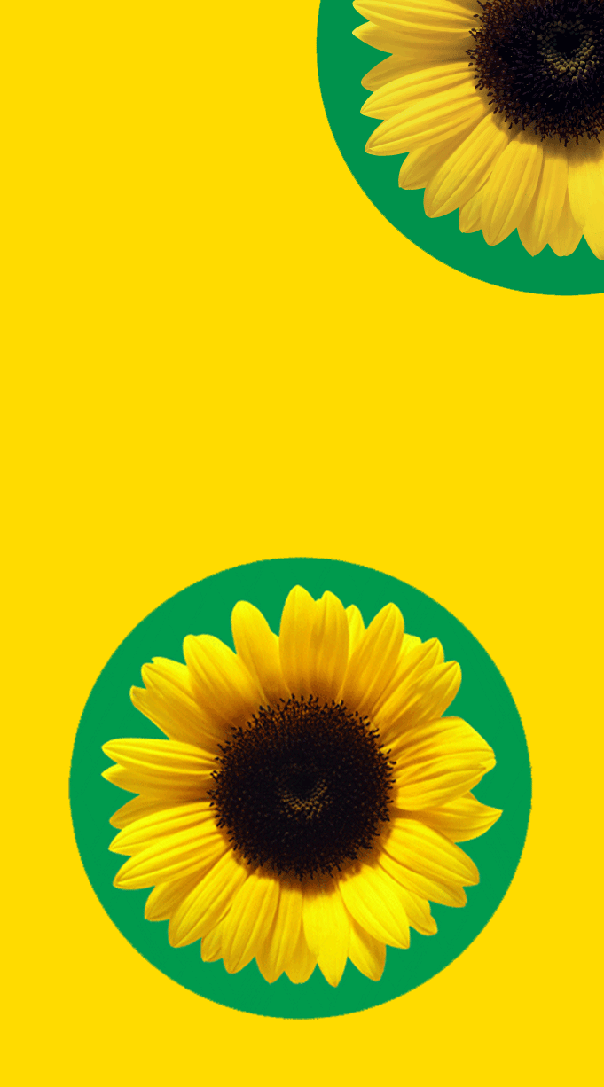 Zonnebloem Den Haag (@zonnebloemdenhaag) • Facebook, image size:681x1226