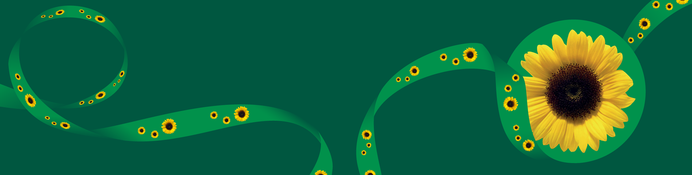 Sunflower community submission