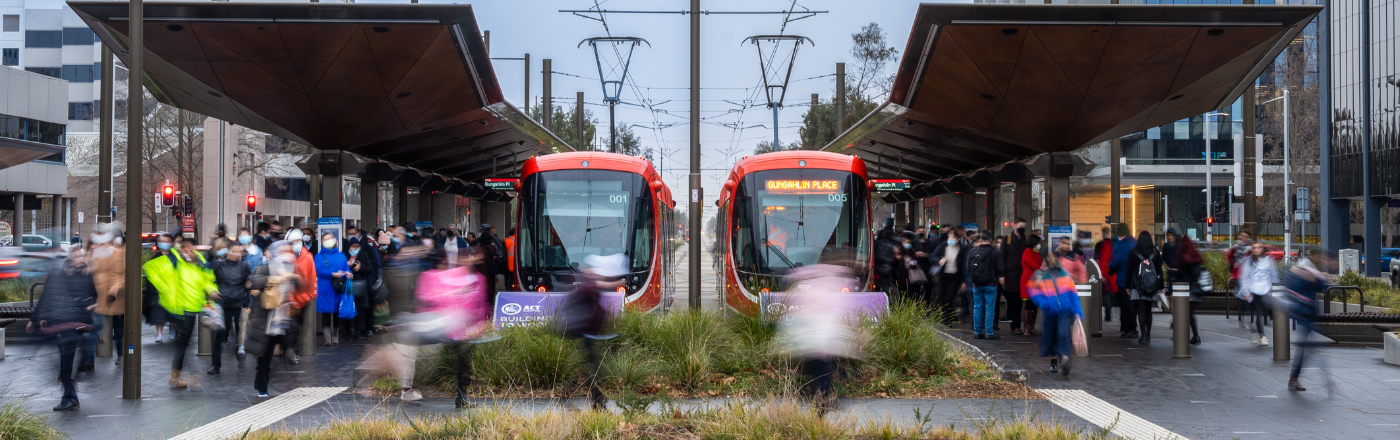 CMET joins the Hidden Disabilities Sunflower