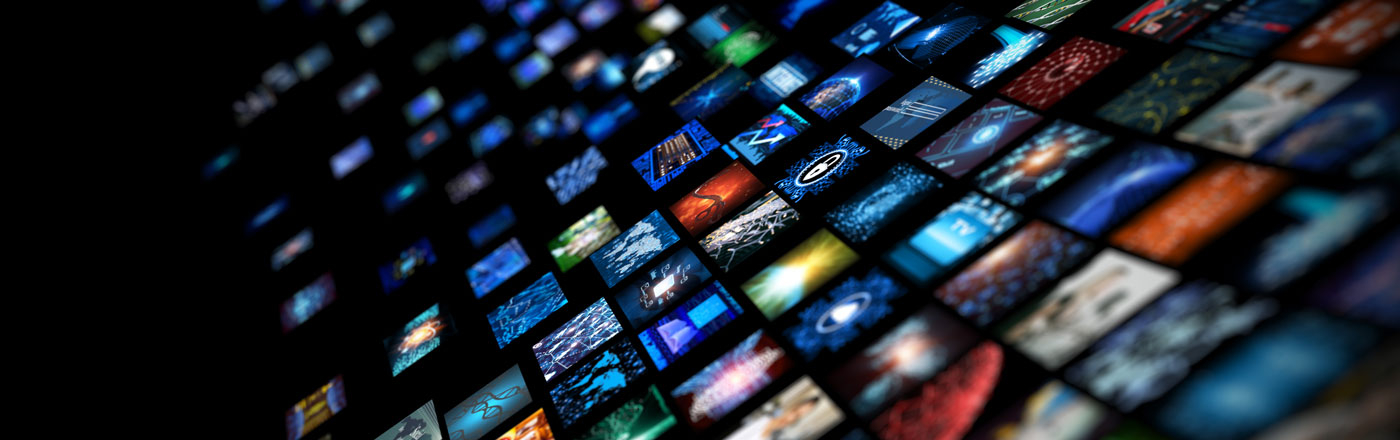 Sunflower launch & brand toolkit