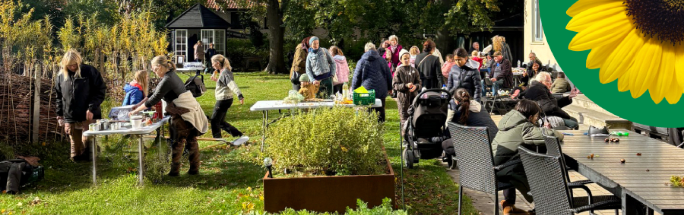 FriSe går med i Solsikkeprogrammet