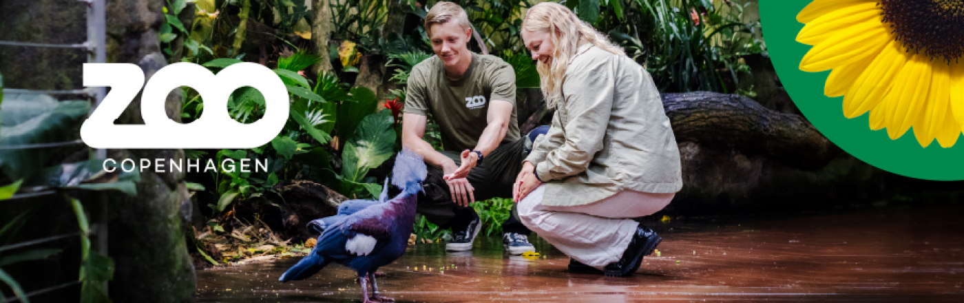 Alle er velkomne i Zoologisk Have København