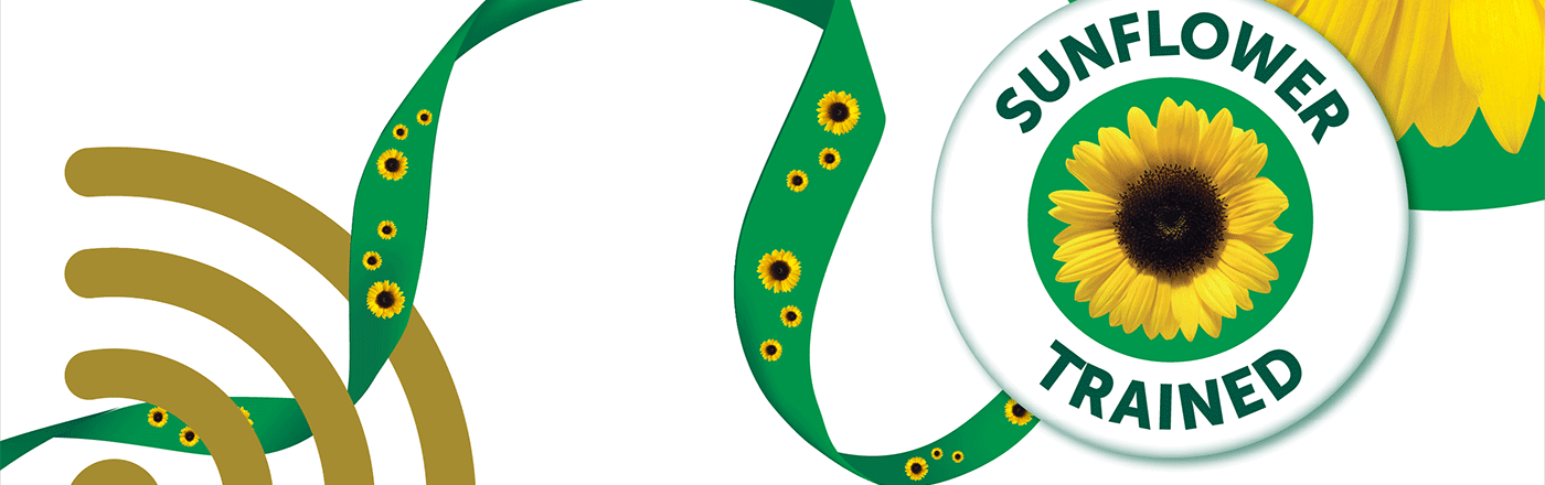 Coming soon - Sunflower Connect