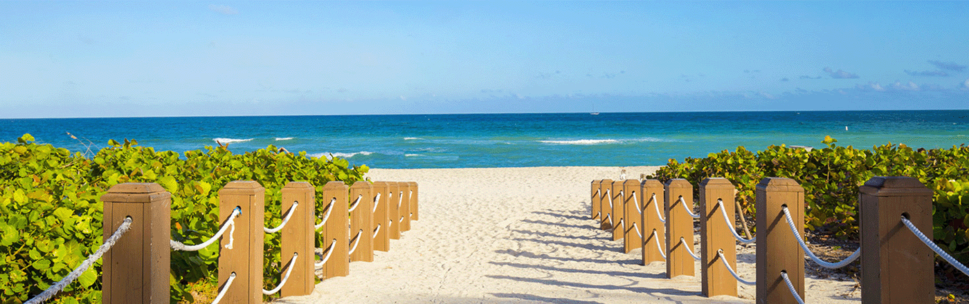 Ocean Holidays join the Hidden Disabilities Sunflower