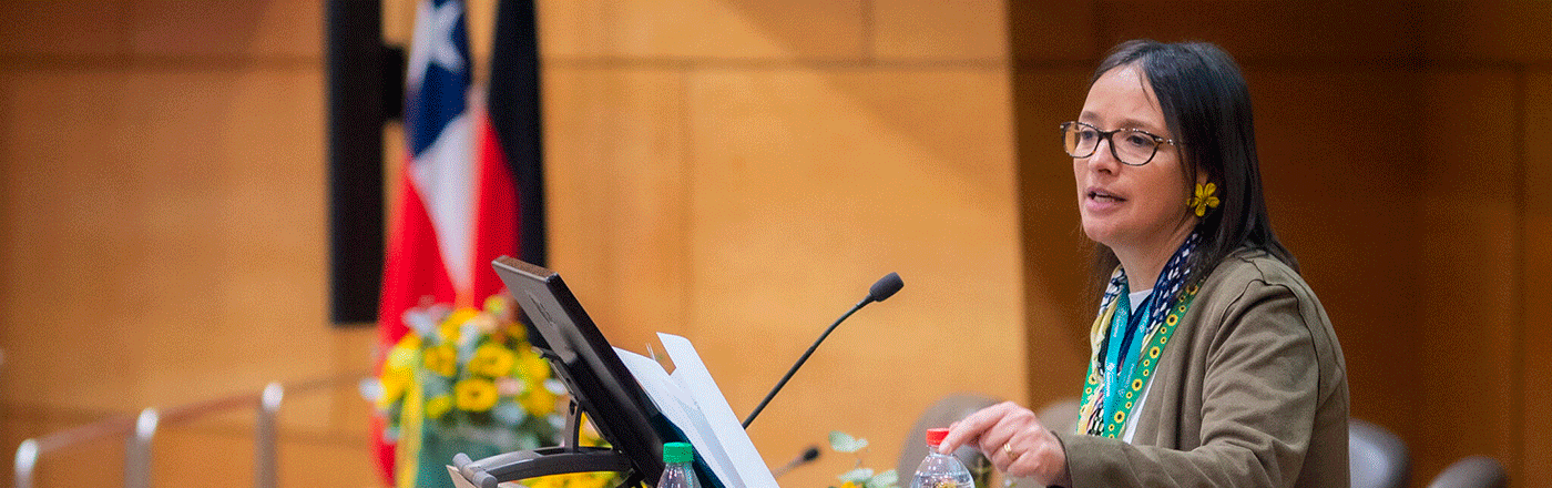 How Clínica Alemana introduced the Hidden Disabilities Sunflower