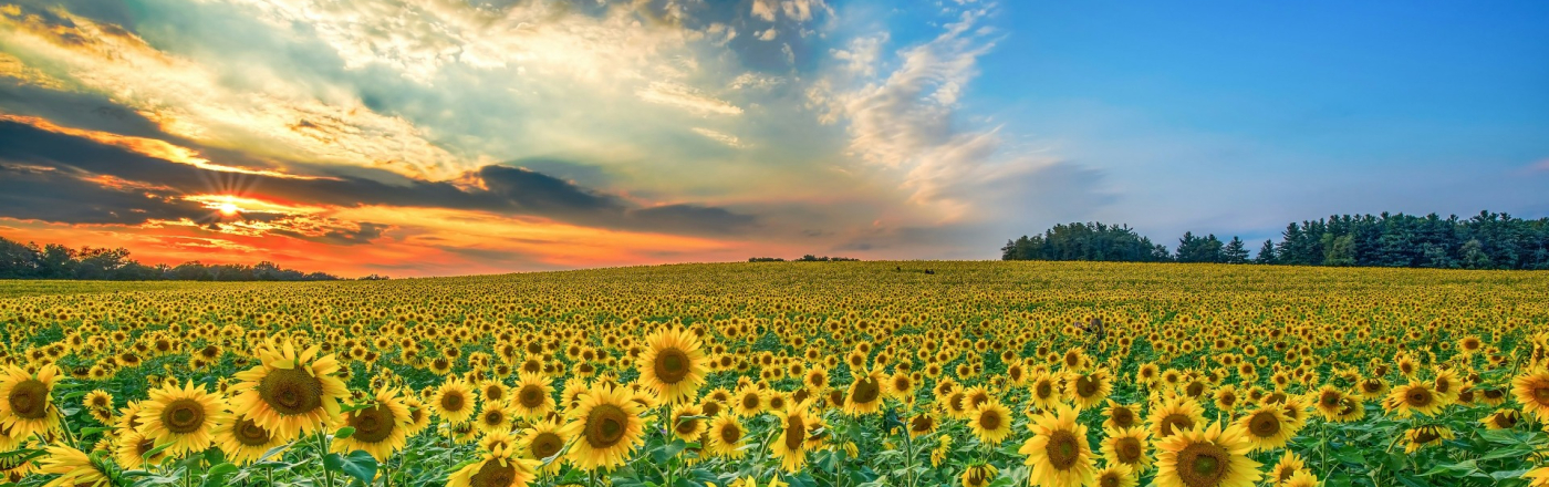 Invisible disabilities awareness week: Kansas shines a light on non-visible disabilities