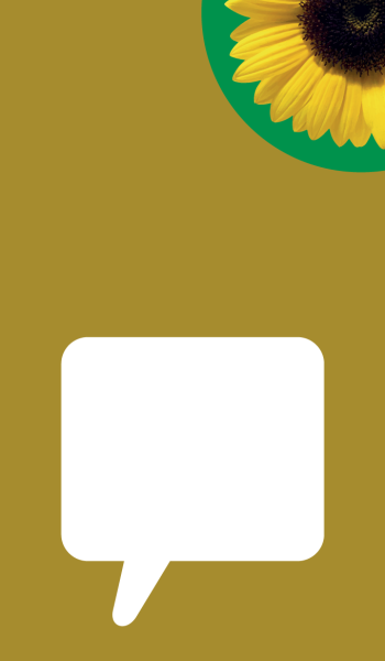 Disability-inclusive language (30 minutes)