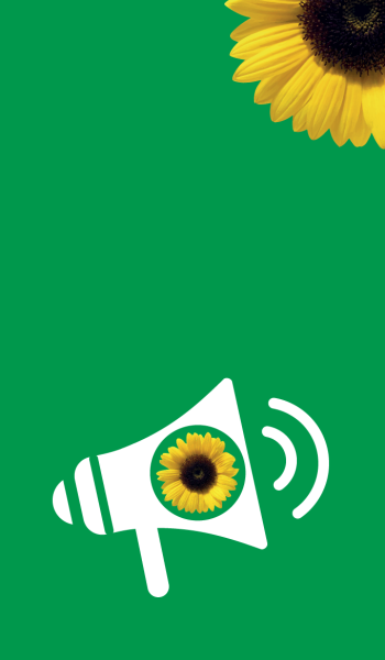 Sunflower training (group) - 27 March 2025