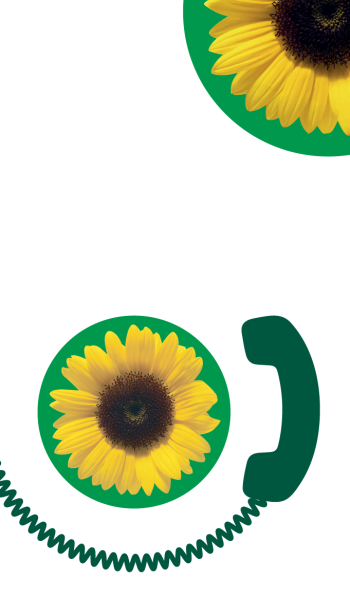 Sunflower Telephone Lines (group) - 19 May 2026 (ENG)