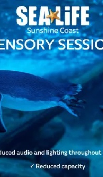 Sensory Session