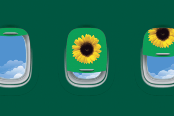 Aena's Invisible Disability Badge and the Sunflower