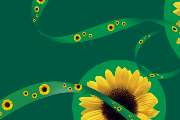 Common questions about Sunflower webinars