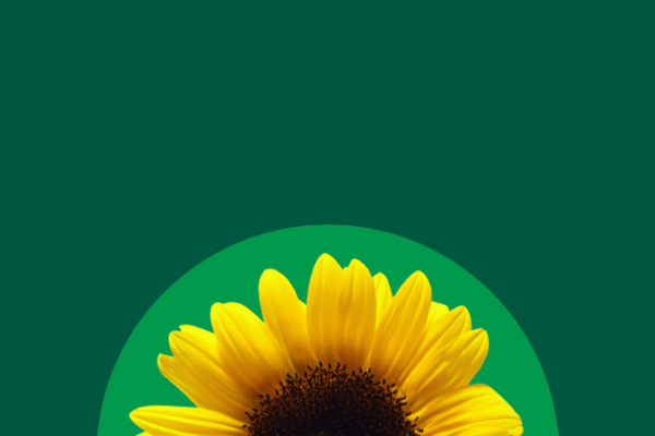 Non-visible disabilities (group) - 7 December 2026 (ENG)