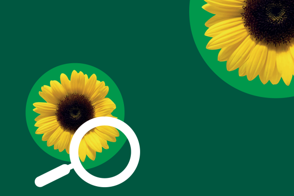 Customers FAQs resource