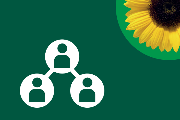 Enterprise social network posts