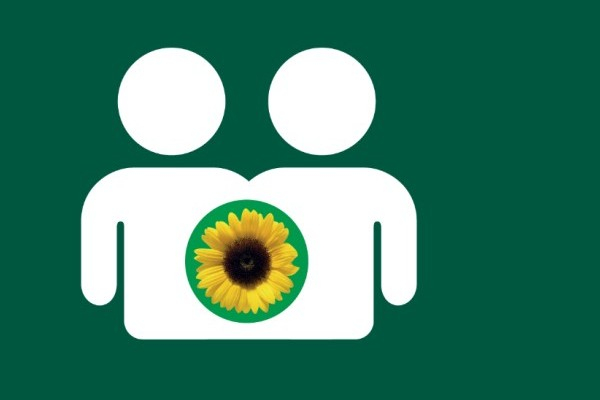 Próximos pasos después de unirse