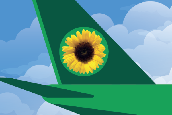 Travel Guide for Sunflower wearers