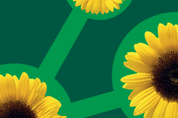 Våre samarbeidspartnere