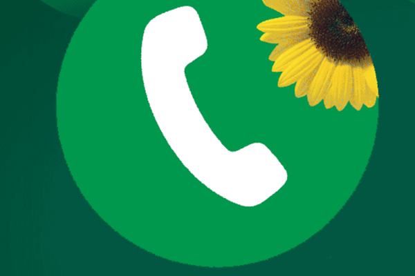 Implementering av Solrostelefonlinjen i praktiken