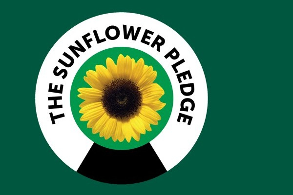 The Sunflower pledge