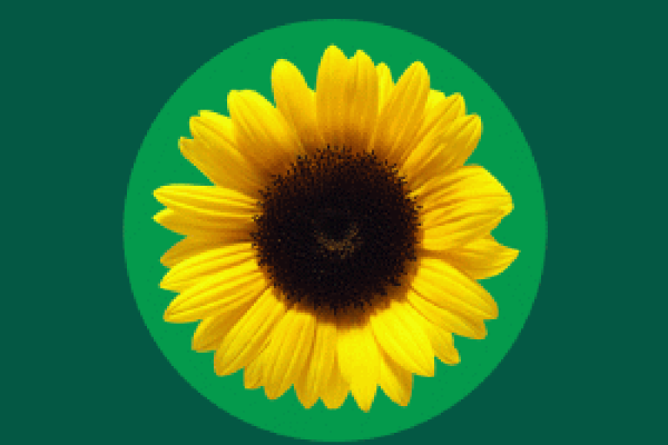 Awareness program - Non-visible disabilities (in English)