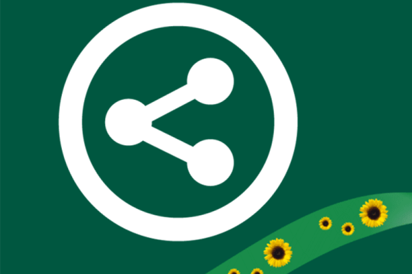 Your guide to announcing the Sunflower on social media