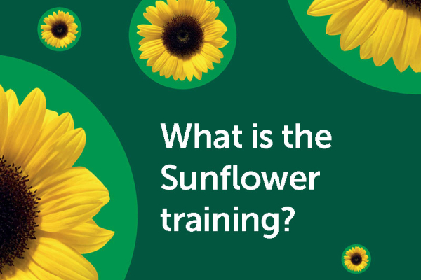 Formação Sunflower (br)