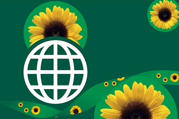 Adicione o Girassol oficial ao site do seu clube ou estádio