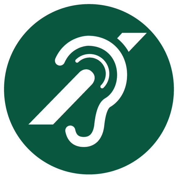 Hearing impairment icon