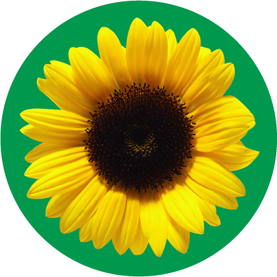 Hidden Disabilities Sunflower symbol