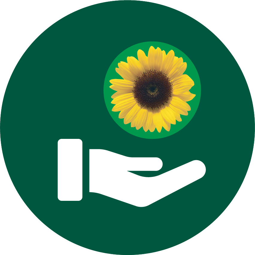 Table with Sunflower products