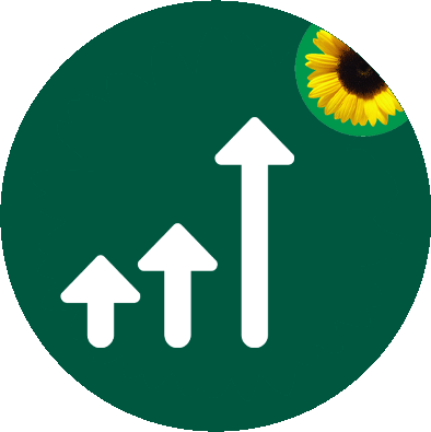 Escalate icon