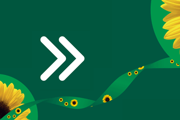 Ícone de próximos passos