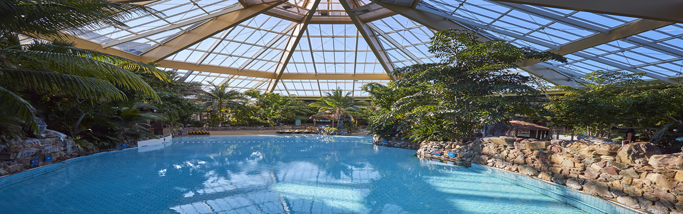 Het overdekte center parcs zwembad. Er is een glazen dak in atriumstijl, tropische planten en rotsen rond het zwembad