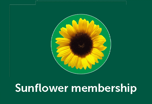 Sunflower on dark green background with text Become a Member