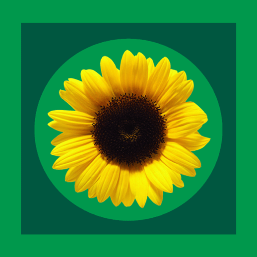 Recognise instantly and respond appropriately