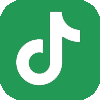 TikTok icon